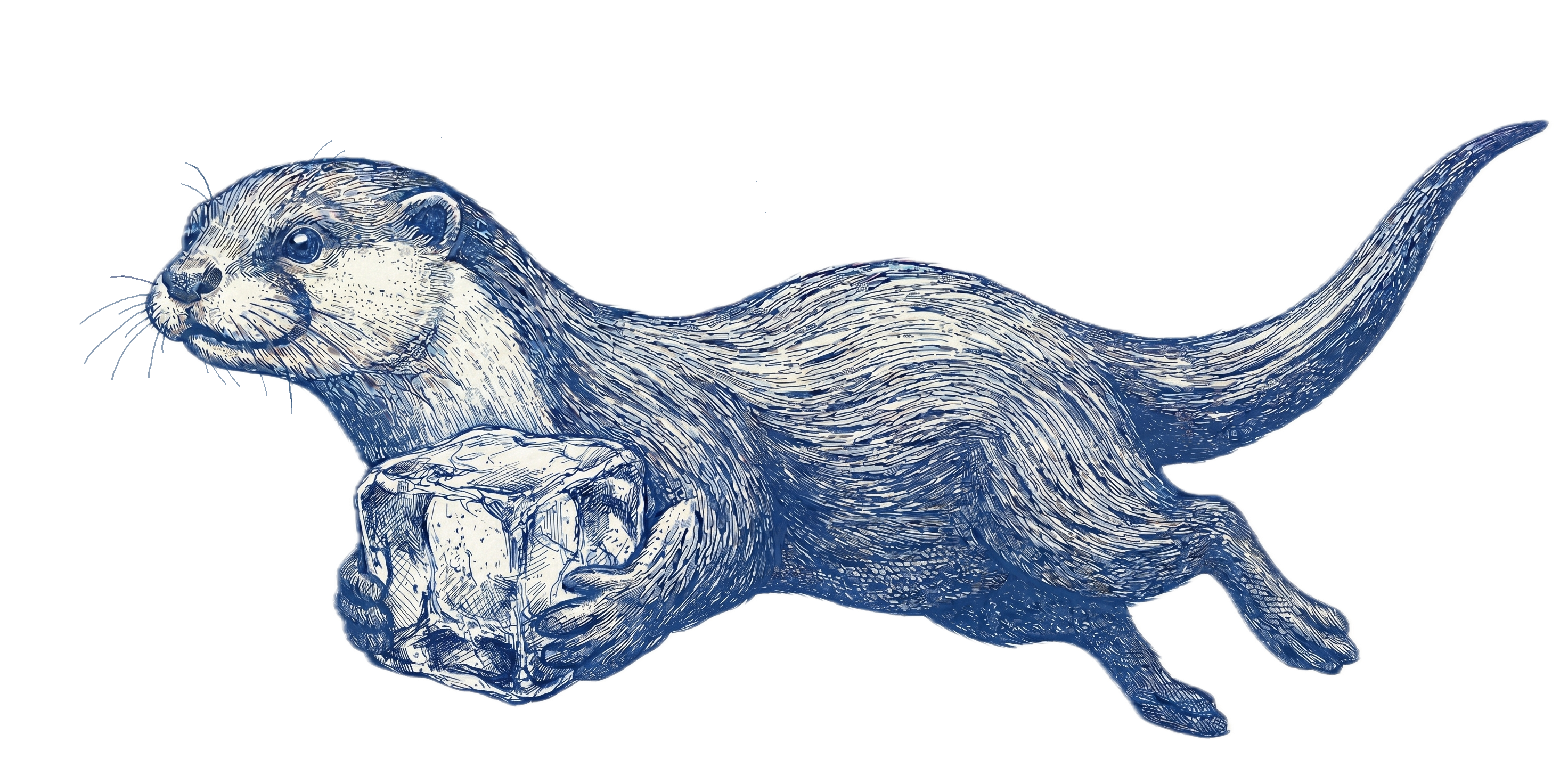 Otter